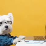 Cachorro usando óculos diante de laptop, representando o mercado pet no e-commerce e o aumento das compras online para pets