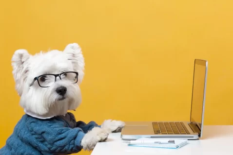 Cachorro usando óculos diante de laptop, representando o mercado pet no e-commerce e o aumento das compras online para pets